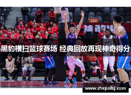 黑豹横扫篮球赛场 经典回放再现神奇得分